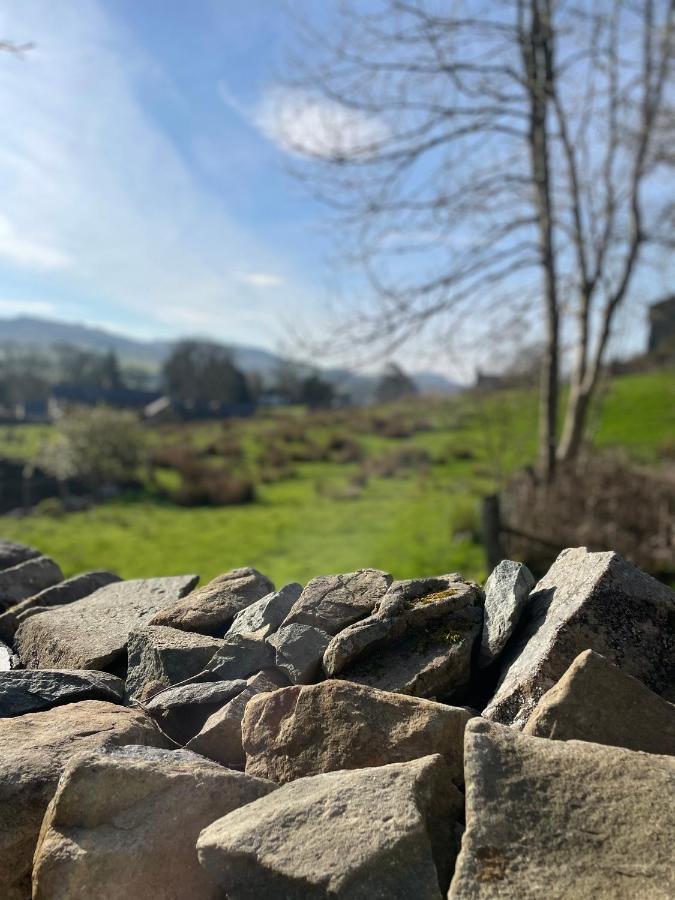 Trawsfynydd Stone Cottage Екстериор снимка